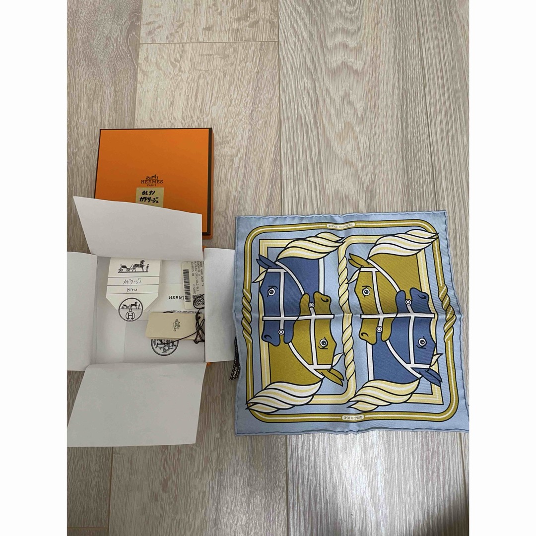 Hermes Nano Carre 20 Cadrige Silk Scarf in Luxe Print