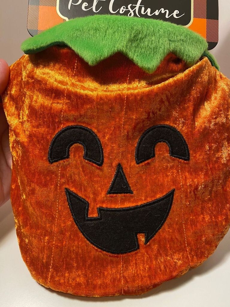 KOHL'S WOOF Pet Halloween Costume Pumpkin /Jack O'Lantern Size
