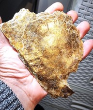 Old stock!Vermiculite Big single crystal.145x99x5,7mm.