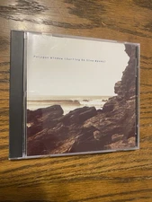 Surfing on Sine Waves by Polygon Window (CD 1993 90’s Aphex Twin Electronic Rare