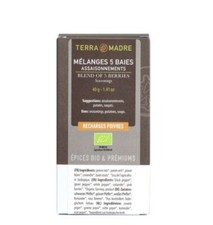 Mélange 5 baies bio (Recharge 40g)