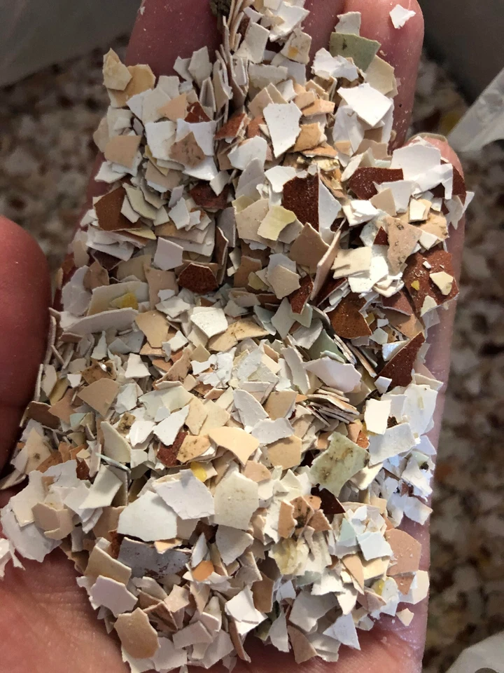 Fertilizante de calcio 10# cáscaras de huevo trituradas a granel jardín planta de interior césped Foto 4 de 4