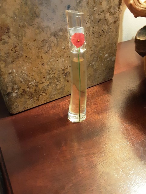 Kenzo Flower Essentielle 0.13oz Women's Eau de Parfum for sale online | eBay