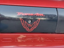 Trans Am Rear Panel Overlay Decal - 93-02 Trans Am