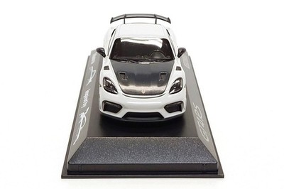 Minichamps 1:43 Porsche 718 Cayman GT4 RS (982) Tribute RS 2.7 in
