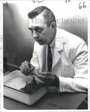 1961 Press Photo Dr. Donald Bunce, Tulane university school of medicine-anatomy