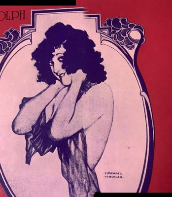 RAPHAEL KIRCHNER Bildband & Cover DIE Welt von FLO ZIEGFELD read des