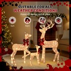 Yescom 3-Piece 5FT Christmas Reindeer Family with 290 Warm LEDs for Home Decor — photo 3