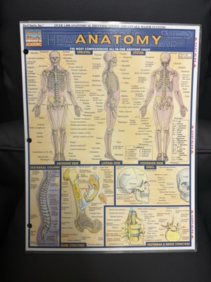 Anatomy  (Quickstudy: Academic) - Pamphlet By BarCharts Tri-fold 11x9