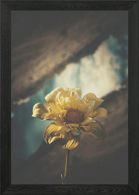 magische Blume gerahmtes Wandbild Poster Leinwanddruck Bild