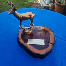 Vintage 1985 L.B.B.H. 2-Point Buck Deer Trophy - Long Beach Bow Hunters - used
