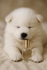 Victoria's Secret EAU De Parfum .25oz Perfume Heavenly Mini NWOB TRAVEL SIZE EDP