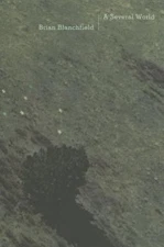 Several World by Brian Blanchfield (2014, Trade Paperback)