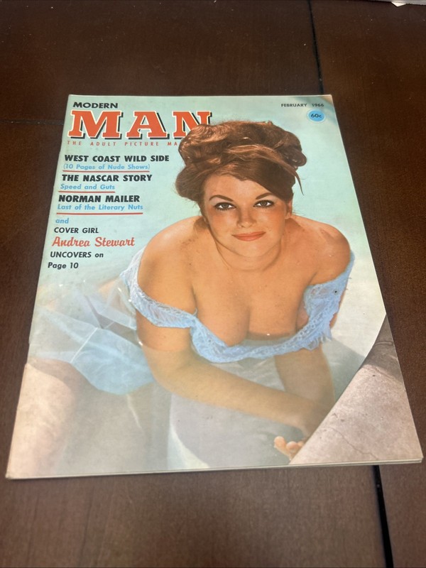 MODERN MAN Magazine (1966) TERI MARTINE Mickey Jines Centerfold Vintage Pinup EX