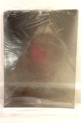 3M Privacy Screen Protector for iPad 2/Ipad 3rd gen - Picture 4 of 7
