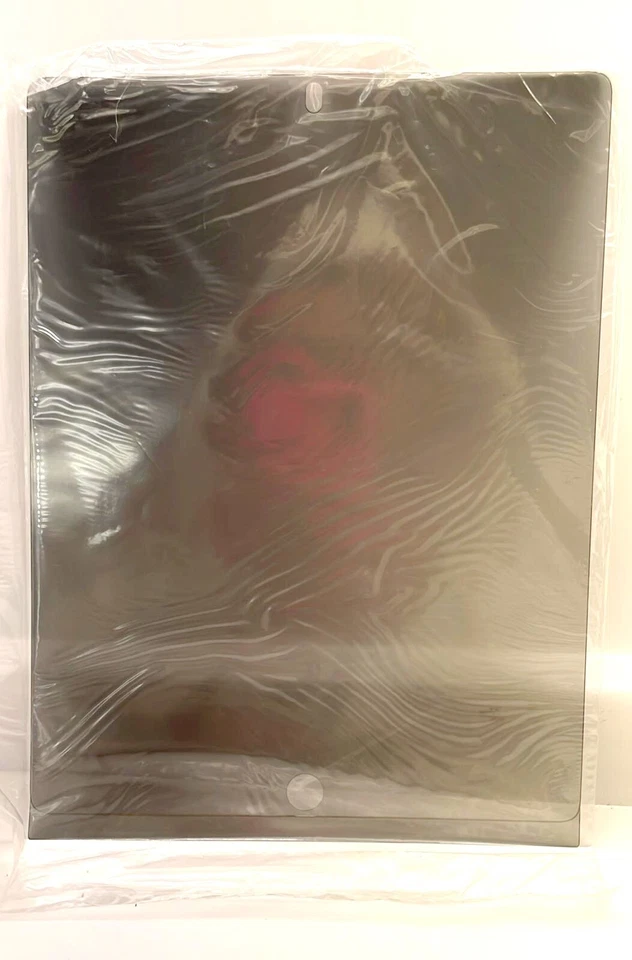 3M Privacy Screen Protector for iPad 2/iPad 3rd gen - Image 4 of 4