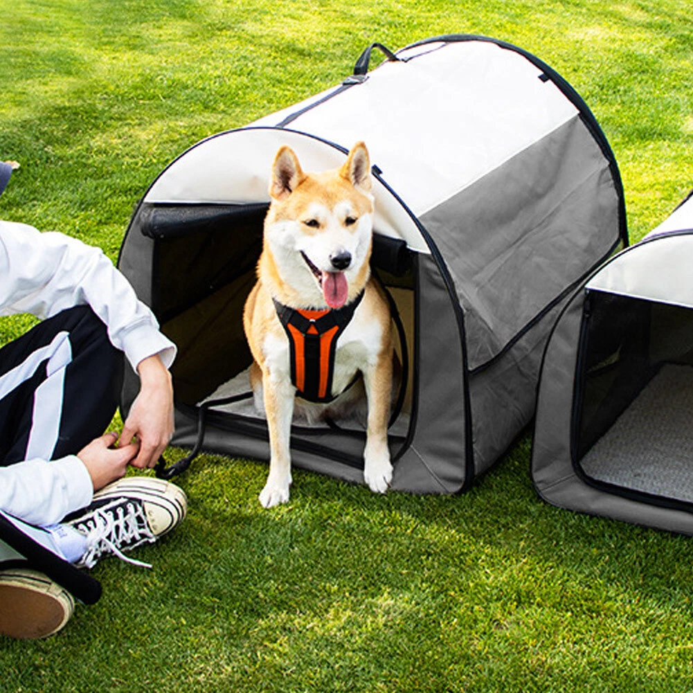 Outdoor dog cheap tent