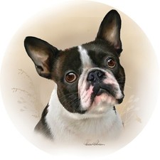 CUSTOM DECOR FRENCH BULLDOG ROUND 6 INCH DIAMETER MAGNET FREE SHIPPING
