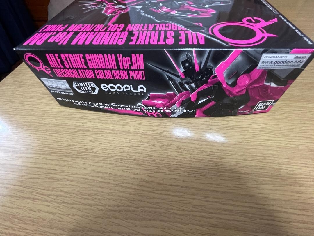 BANDAI MG 1/100 AILE STRIKE GUNDAM Ver.RM RECIRCULATION COLOR NEON