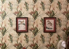 Wallquest Wallpaper Asian Tropical Bird Of Paradise Flower