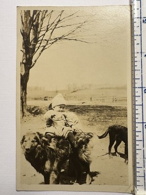 Antique Baby William Sitting On Dog RPPC Real Photo Postcard AZO Mark Unposted