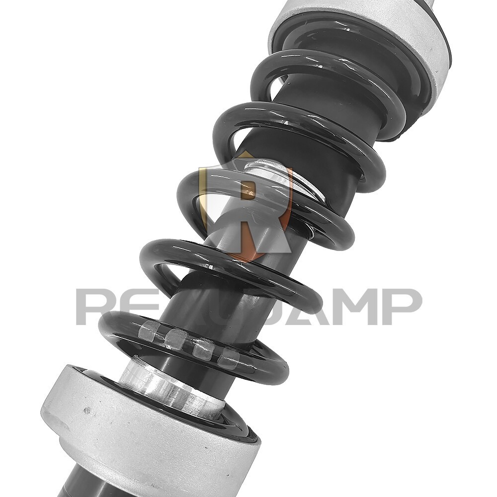 Rear Left Suspension Shock Strut Assy Magnetic Ride For Audi R8 V8 V10 GAS 07-15