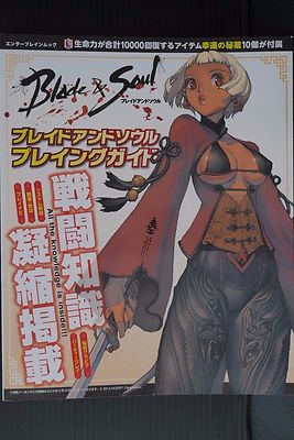 Blade & Soul Playing Guide Book by Kim Hyung-tae - Japan Edition