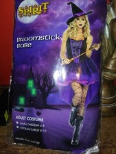 Halloween witch adult costume