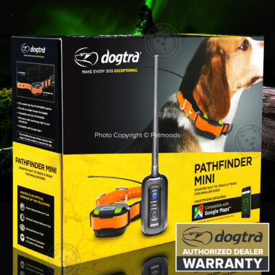 dogtra tracking system