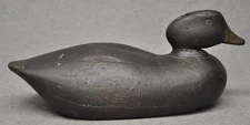 UNKNOWN HEN EIDER TACK EYES DUCK DECOY SOLID BODY ORIGINAL PAINT DEL OR CONN??