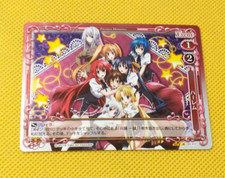 PRECIOUS MEMORIES JAPANESE High School DXD Born Card Holo All Girls