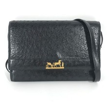 HERMES Eugenie 2WAY Carriage Hardware Bag Clutch Shoulder Bag Ostrich Unknown St