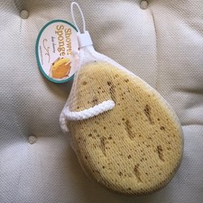 Deep Cleaning Shower Sponge, about 4.5 x 6 x 2.5  w/ Hanging Loop BRITE CONCEPTS