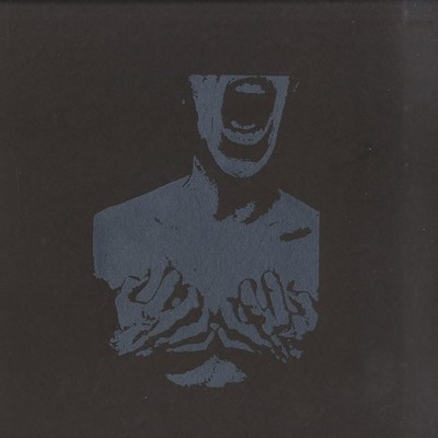 Chasing Voices - Ex Nihilo Nihil Fit - USA 12'' Vinyl - 2010 - Preserved Insti...