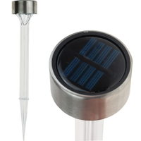 Solar-Gartenlampe LED Mit Erdspieß, Transparent, Edelstahl