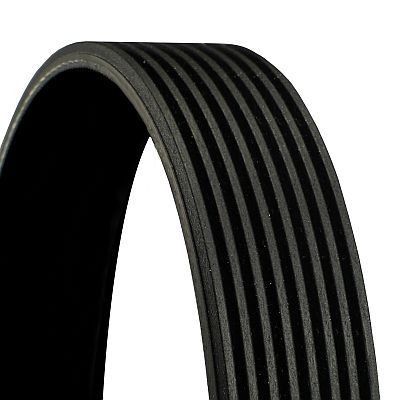Continental 4060569 - Cinghia multi-V serie OE Technology