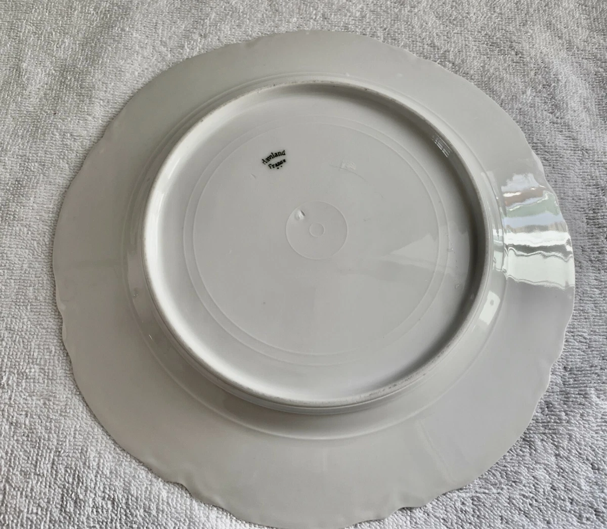 Blank Dinner Plate blank-dinner-plate