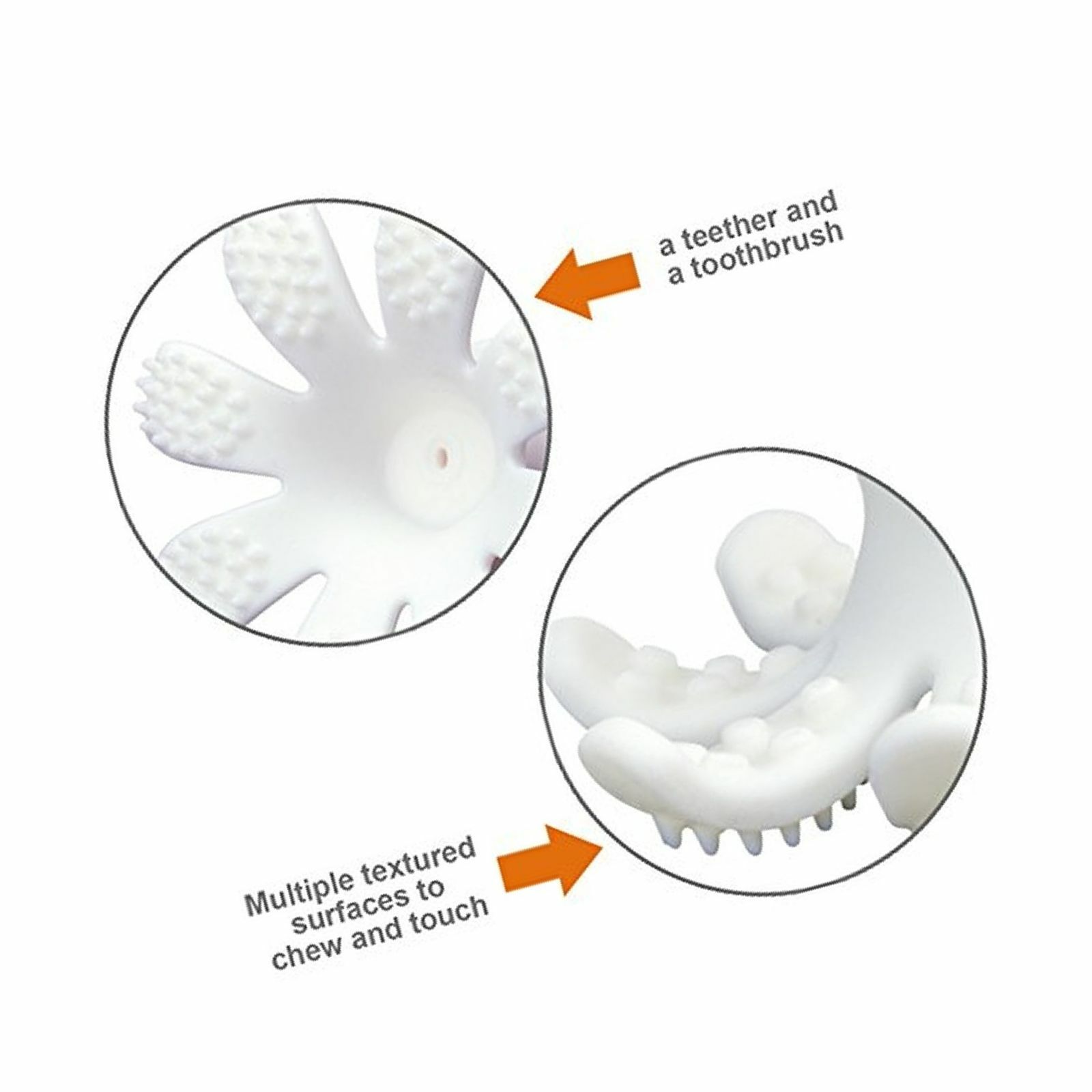 ollie octopus teether