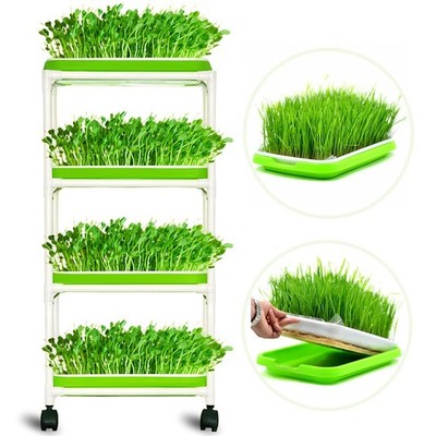 4 Layers Sprout Trays with Extra Strength Plastic Shelf Soil-Healthy Wheatgra...