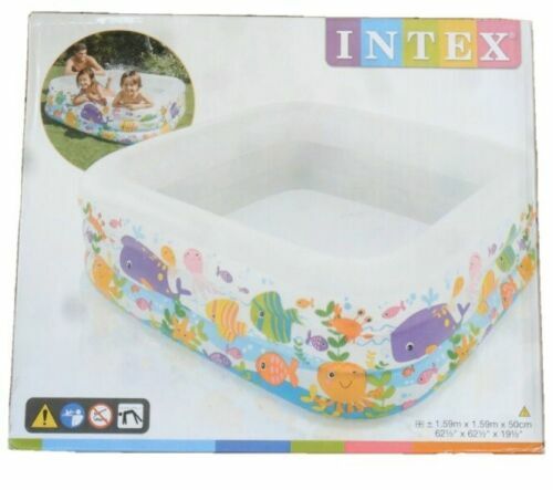intex aquarium pool