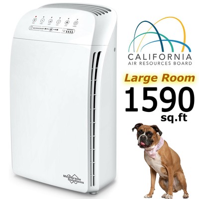 HEPA Home Air Purifier Large Room Home Air Cleaner for Pet Allergies Dust Toxin