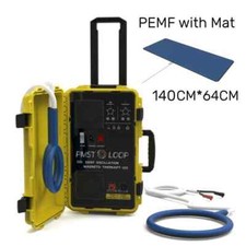 Clinic Use PMST Loop Magnetic Therapy Chronic Pain Treatment Home Use Machine