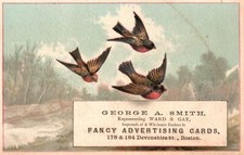 1880s-90s Birds Flying George Smith Fancy Advertising Cards Trade Card Boston