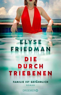 Die Durchtriebenen | Elyse Friedman | Taschenbuch | 304 S. | Deutsch | 2024