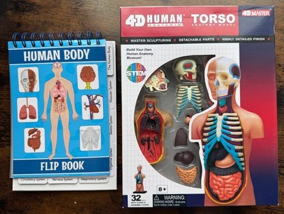4D Human Anatomy Torso Model Kit w/ Human Body Flip Book Science Set Ages 8+ NEW