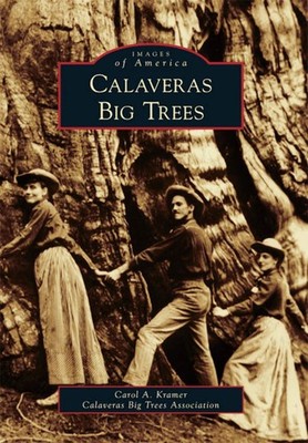 NEW Arcadia Publishing Calaveras Big Trees, CA 9780738581187 Images of America T