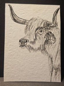 ACEO ORIGINAL "Highland Cow" Pen & Ink