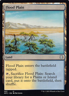 #ad Flood Plain AFC 237 Normal English NM MTG $1.99