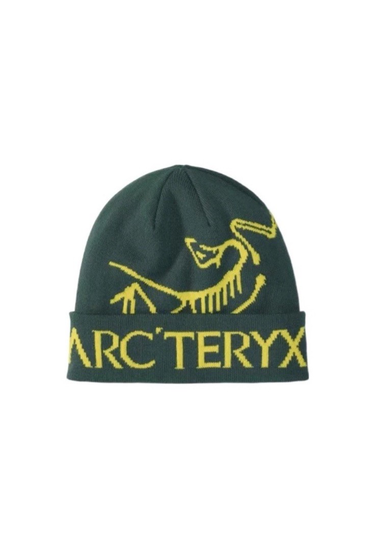 Berretto ARC'TERYX BIRD WORD TOQUE verde Pytheas autentico nuovo senza etichette