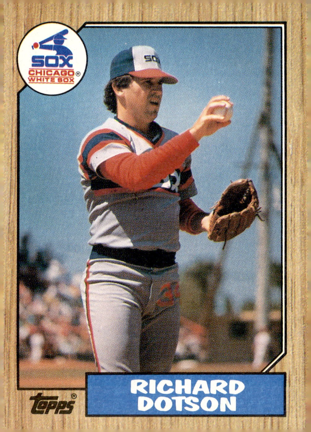 1987 Topps #720 Richard Dotson